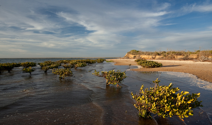 Wildlife Encounters in Baja California Sur - RED/Journey Mexico
