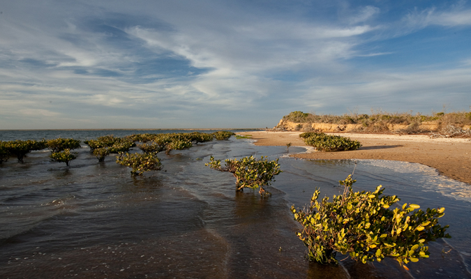 Wildlife Encounters in Baja California Sur   RED/Journey Mexico