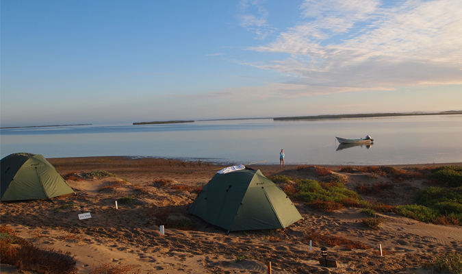 Wildlife Encounters in Baja California Sur - RED/Journey Mexico