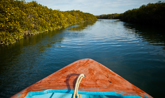 Wildlife Encounters in Baja California Sur - RED/Journey Mexico