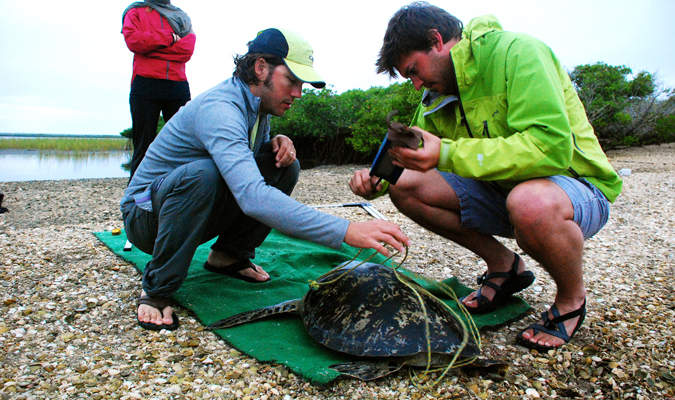 Wildlife Encounters in Baja California Sur - RED/Journey Mexico