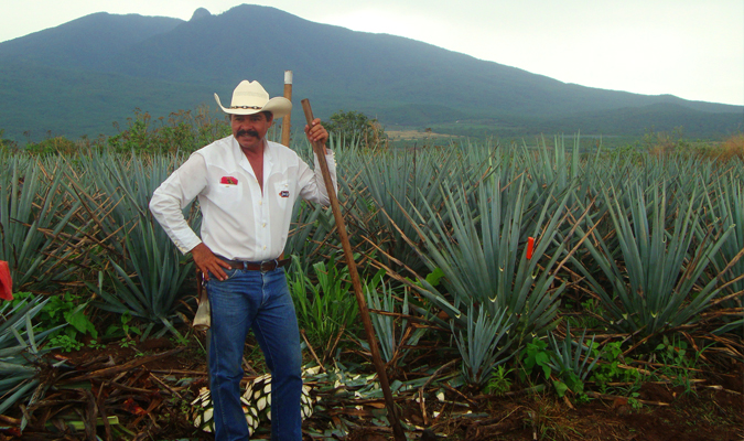 tequila jalisco 2