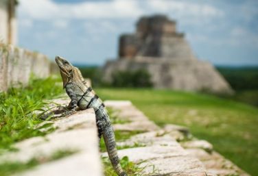 facts about mexico