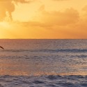 Viceroy Riviera Maya Sunsets