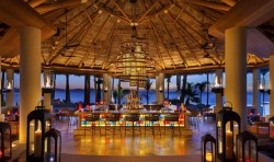 one only palmilla new