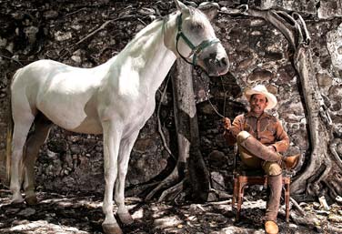 Antiguo Camino Real by horse