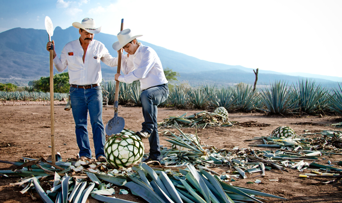 espiritu de tequila jc 1