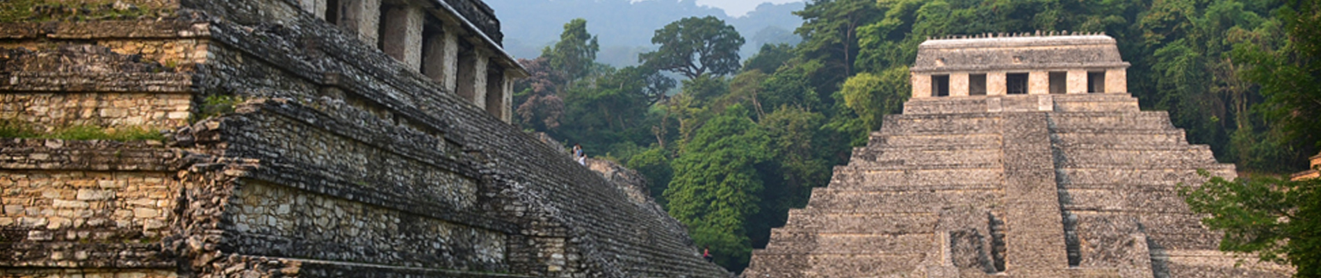 palenque header