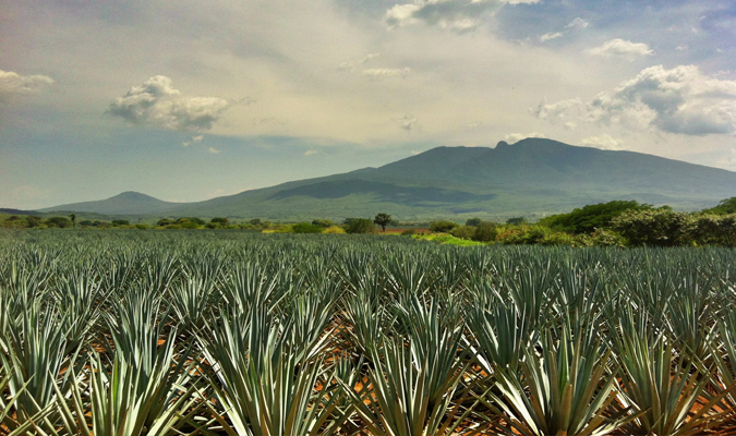 Tequila, Jalisco | Journey Mexico | Pueblo Magico Espiritu de Mexico