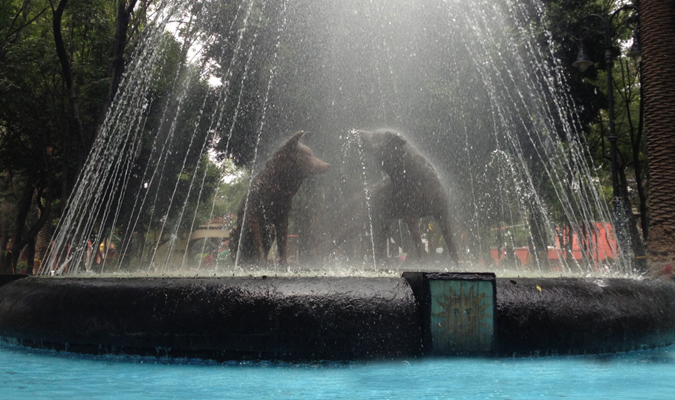 mexico city df coyoacan