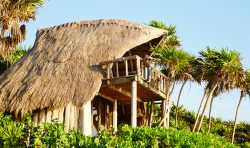Papaya Playa Casa Viento