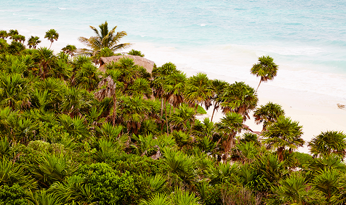 Papaya Playa Jungle View