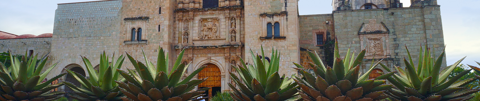 oaxaca maguey mezcal header