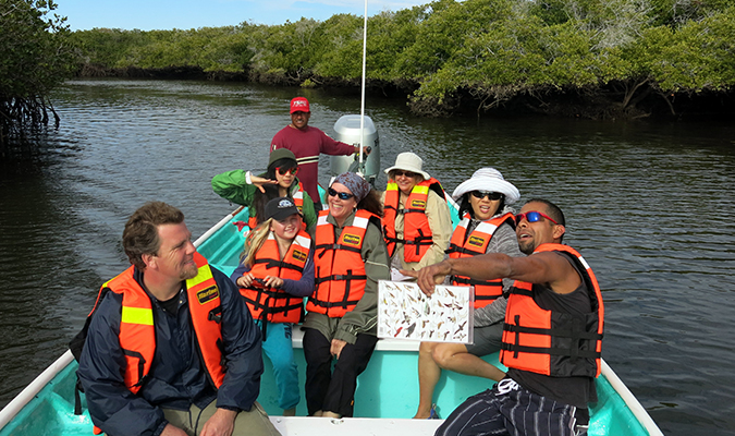 mangrove birdwatching red baja