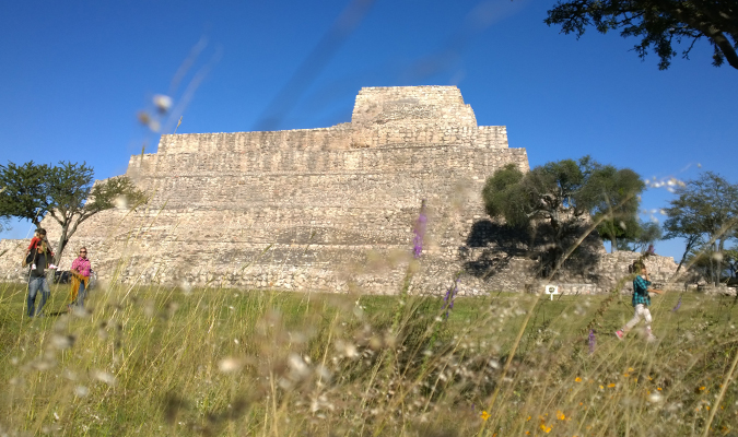 san miguel allende canada