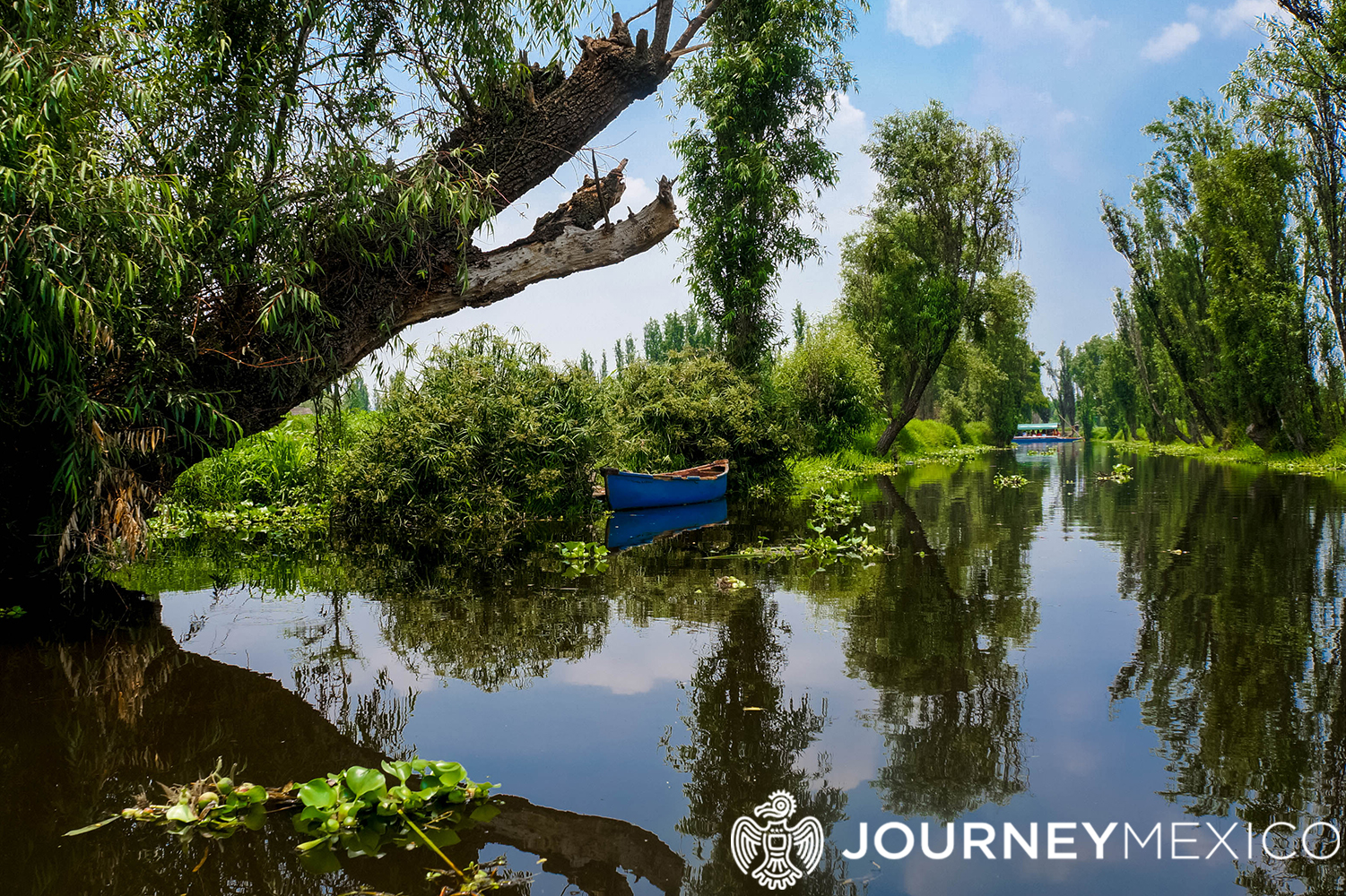 xochimilco-3