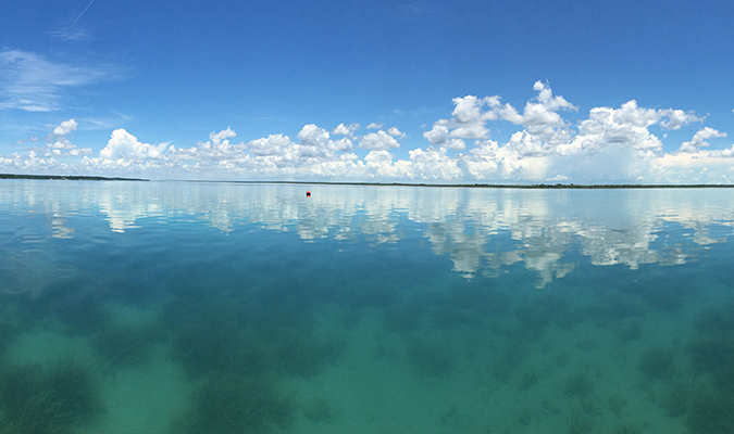 bacalar 2