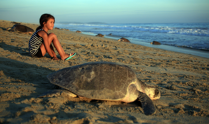 mazunte-oaxaca-beach-styde-ocv