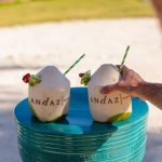 andaz hotel in mayakoba riviera maya luxury beach coconut