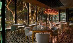 chable_yucatan__ixiim_restaurant_fine_dining