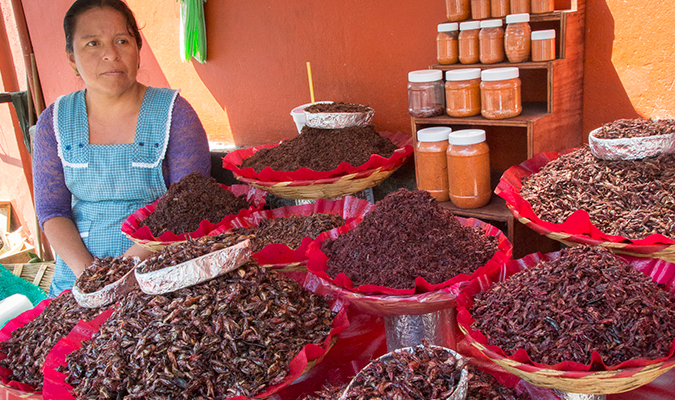 oaxaca day of the dead market