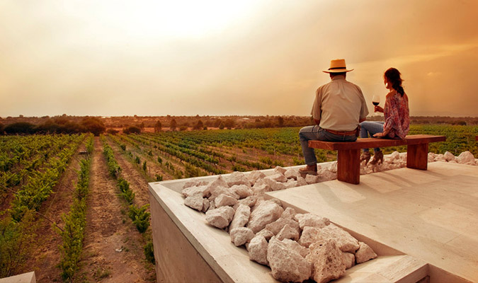 San Miguel de Allende Wine