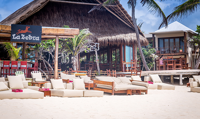 la zebra beach sofas