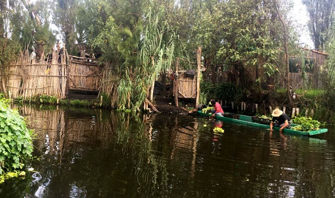 canal harvesting