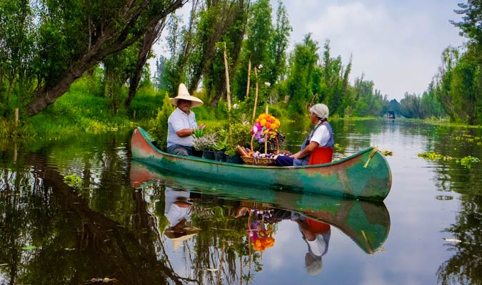 flowers xochimilco