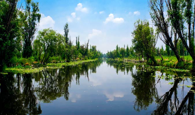 xochimilco waterway tour