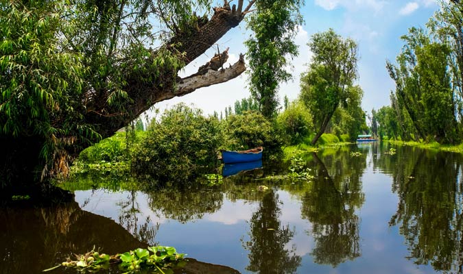 xochimilco canals