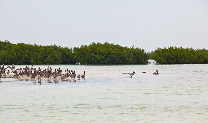 Isla Holbox