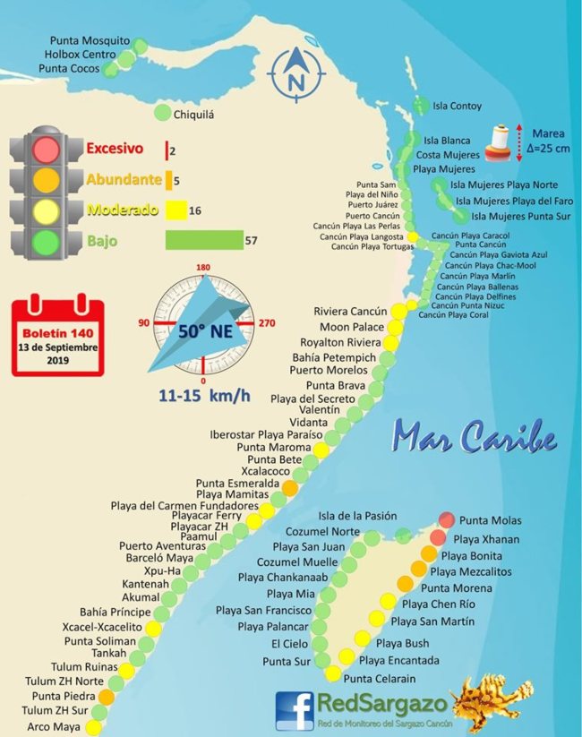 Update on Sargassum Seaweed Affecting Mexico's Beaches Journey Mexico