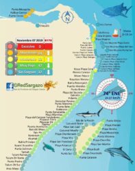 sargassum map