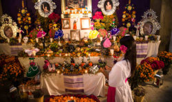 dia de muertos altar