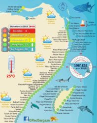 sargassum map