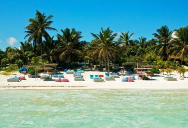 sargassum seaweed affecting mexico beaches