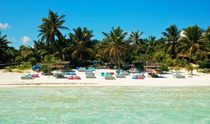 Replace on Sargassum Seaweed Affecting Mexico’s Seashores