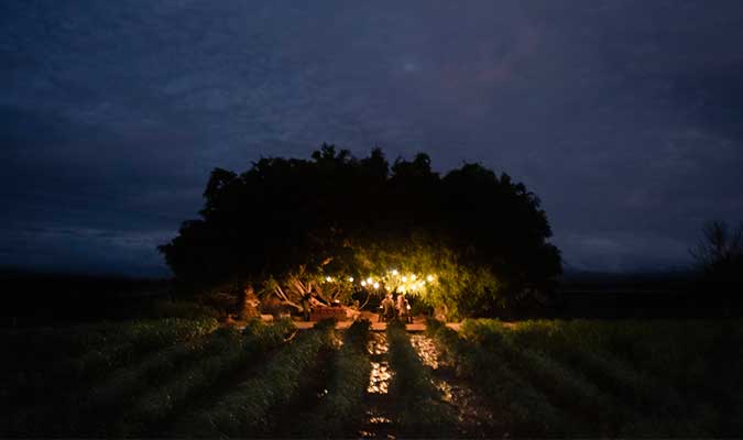 paradero todos santos outside night