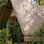 habitas bacalar room