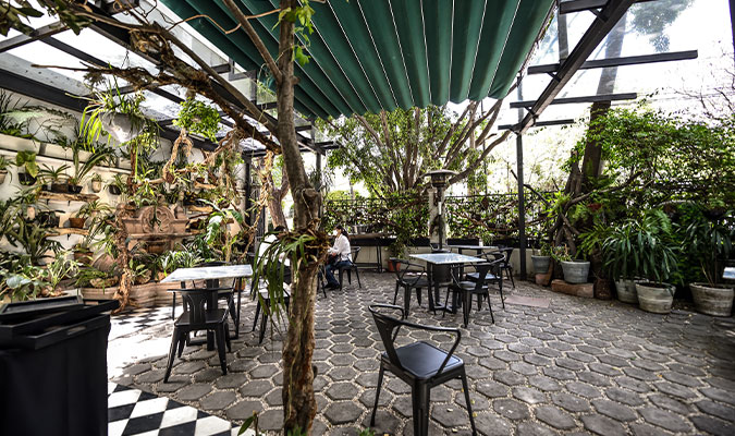 orchid house patio