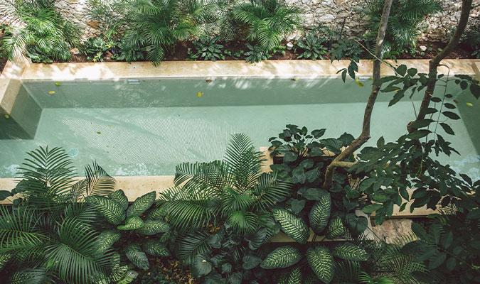 treehouse boutique pool