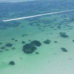 nomade holbox drone boat