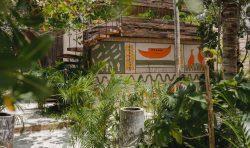 nomade holbox garden alt
