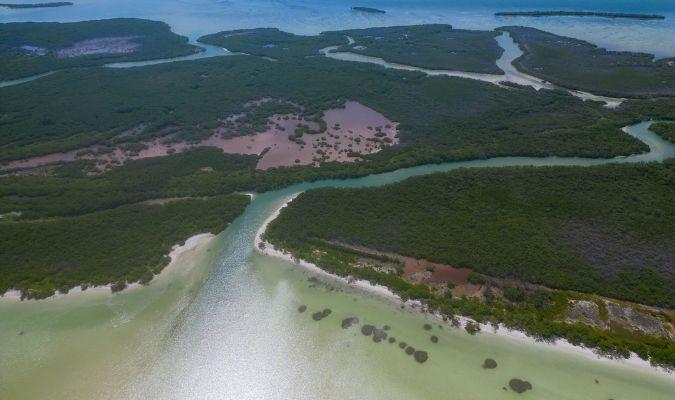 nomade holbox river