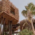 nomade holbox tree houses