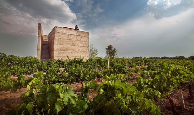 cuna de tierra