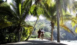 Four Seasons Tamarindo