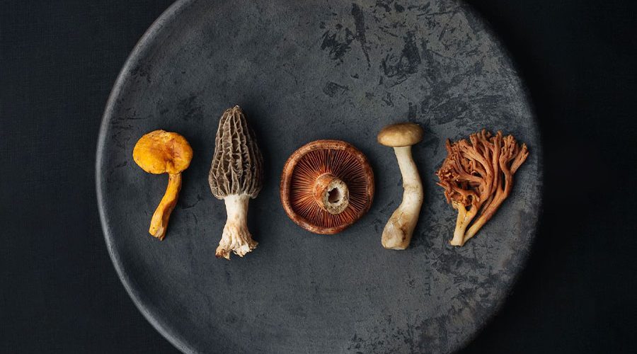 12 Restaurants in Mexico We’re Excited About