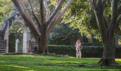 chable family friendly